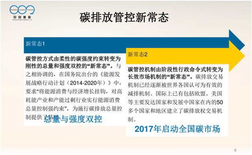 構建大型控排企業高效碳資產管理體系 策略、實踐與數字化工具
